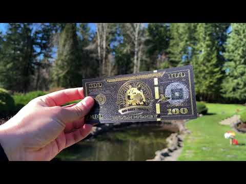 Dogecoin Moon Money v1 (No Data Chip)