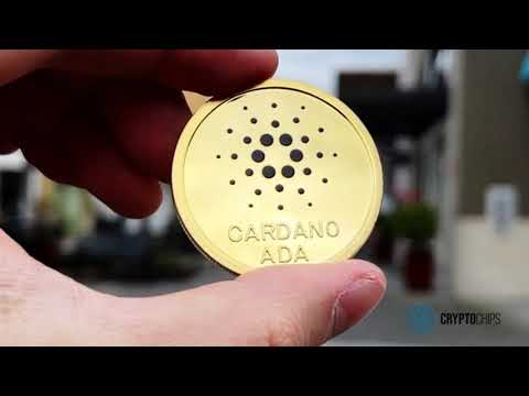 Cardano (2021 Edition)